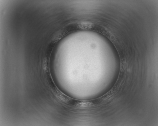 X0000073520323200608281740