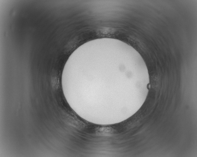 X0000073520324200608281740