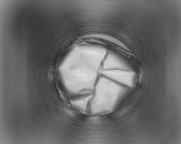 X0000073520325200608281740