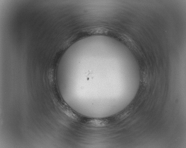 X0000073520326200608281740