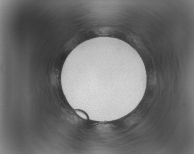 X0000073520332200608281739