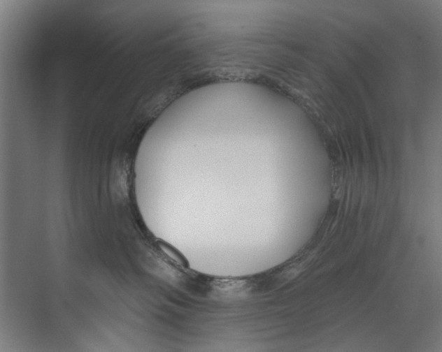 X0000073520334200608281739