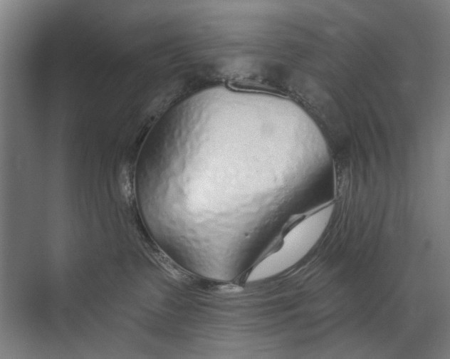 X0000073520335200608281739