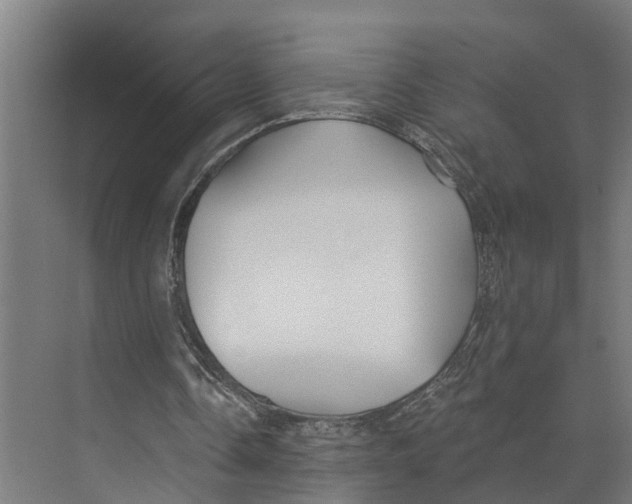 X0000073520338200608281739