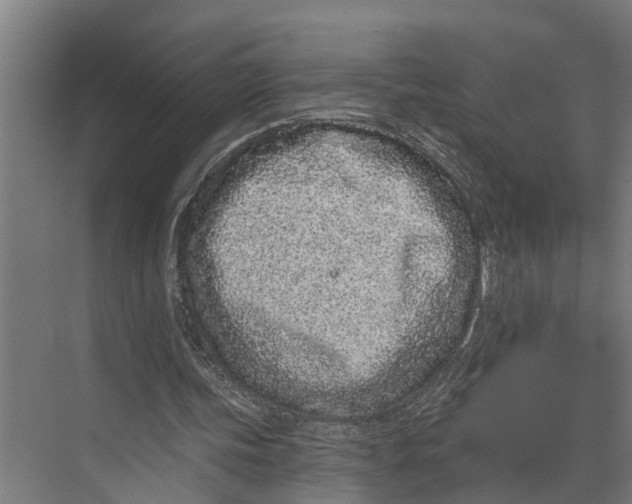 X0000073520339200608281739