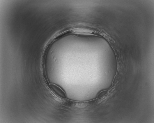 X0000073520341200608281739