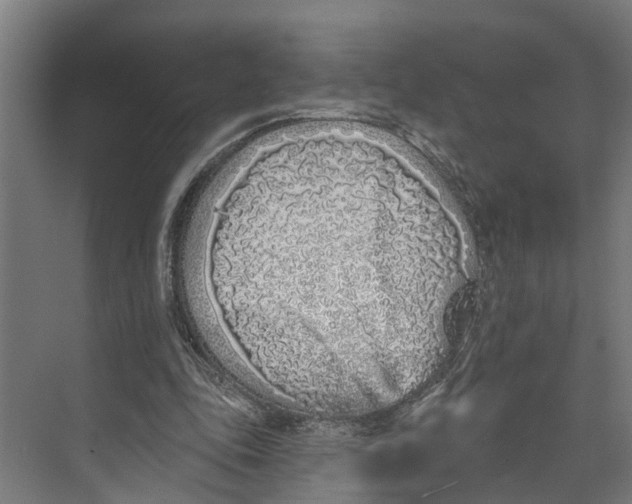 X0000073520343200608281739