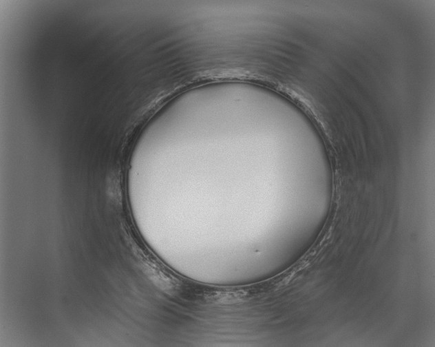 X0000073520345200608281739