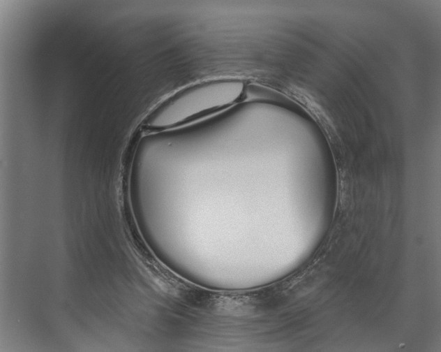 X0000073520346200608281739