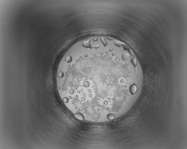 X0000073520347200608281739