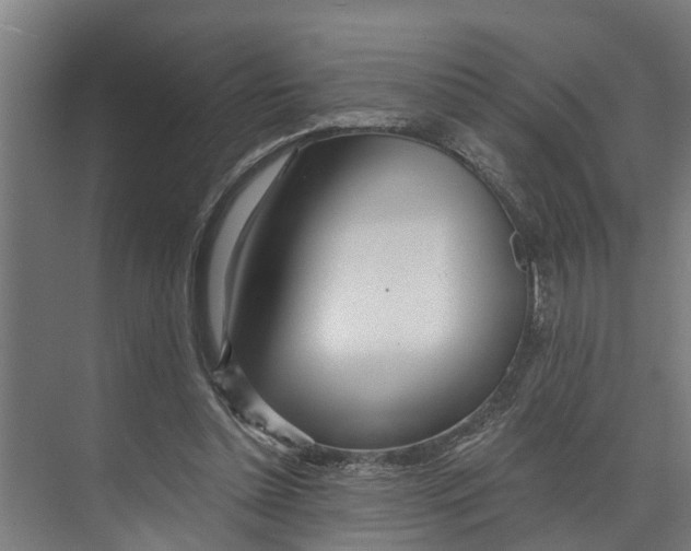 X0000073520348200608281739