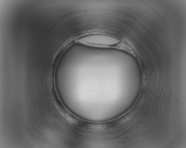 X0000073520349200608281739