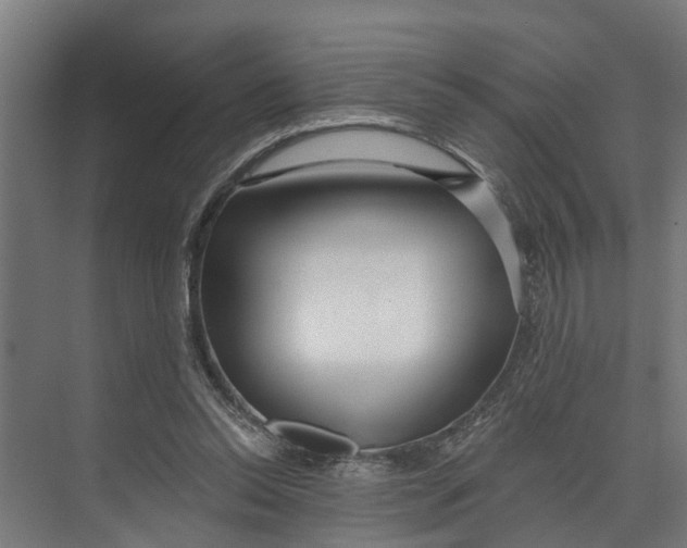 X0000073520350200608281739