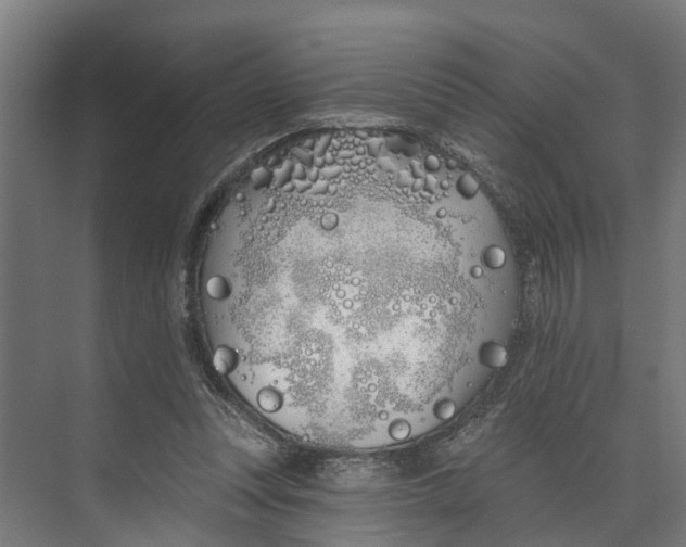 X0000073520351200608281739