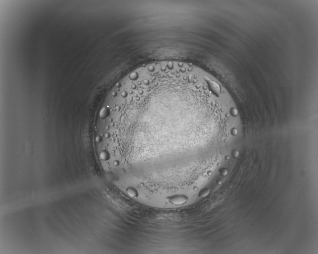 X0000073520353200608281739