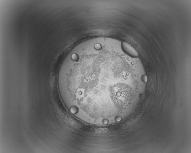 X0000073520355200608281739