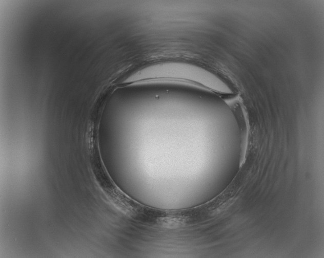 X0000073520356200608281739