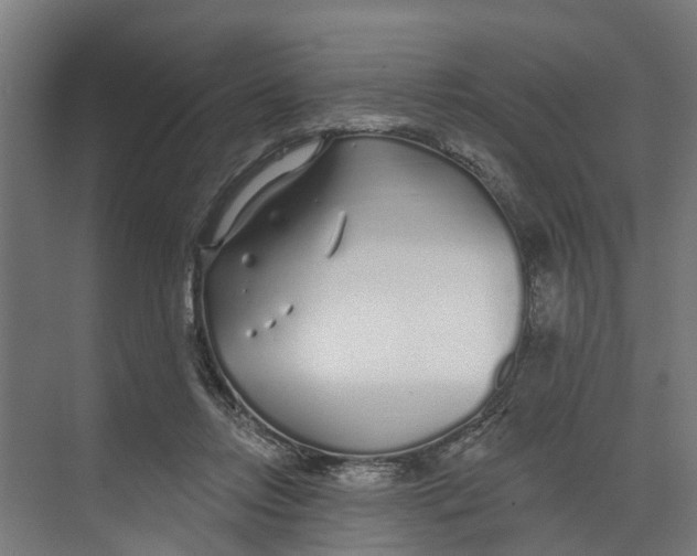 X0000073520358200608281739