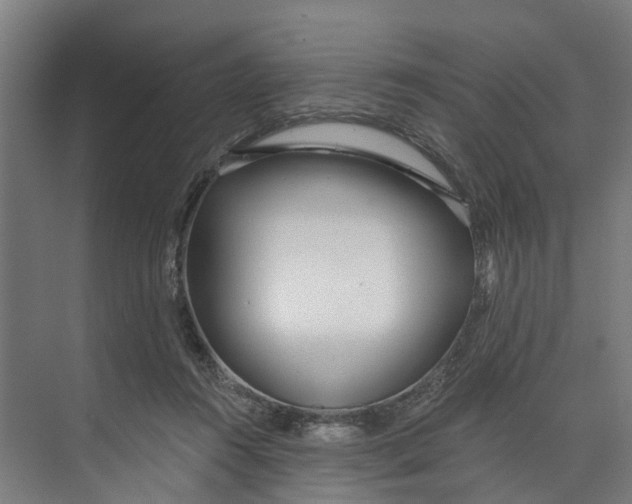 X0000073520360200608281739