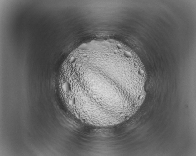 X0000073520367200608281739