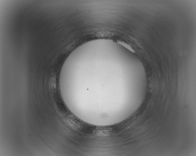 X0000073520368200608281739