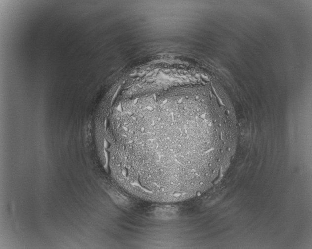 X0000073520369200608281739