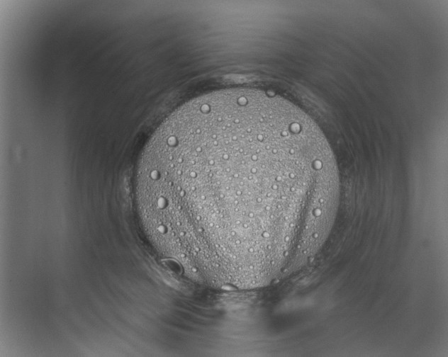 X0000073520373200608281739