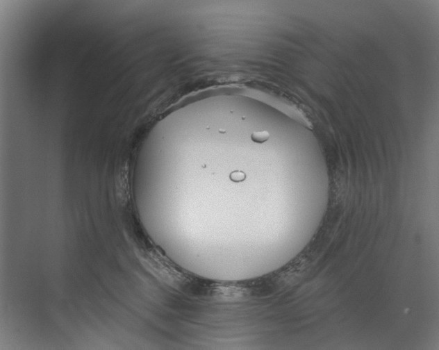 X0000073520376200608281739