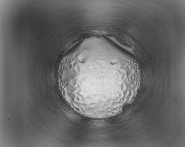 X0000073520377200608281739