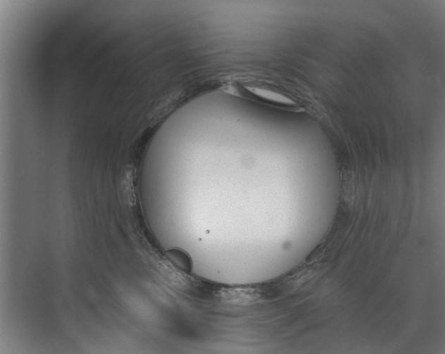 X0000073520378200608281739