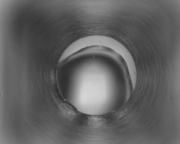 X0000073520380200608281739