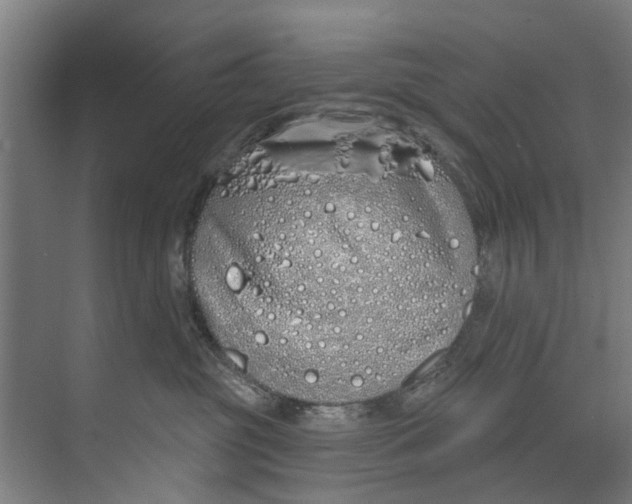 X0000073520381200608281739