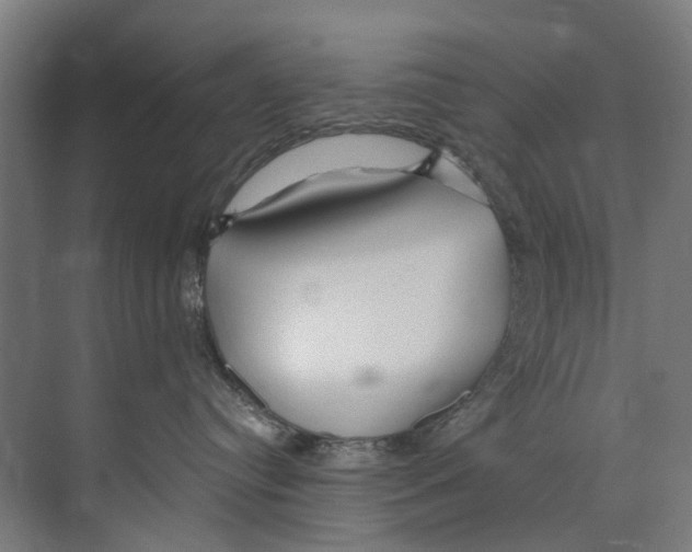 X0000073520384200608281739