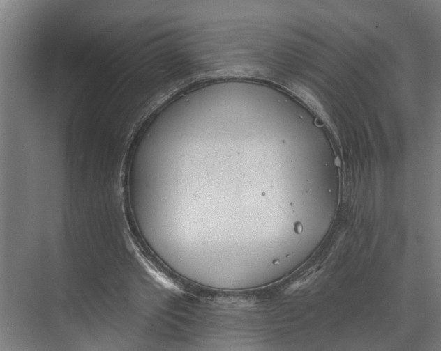 X0000073520389200608281739