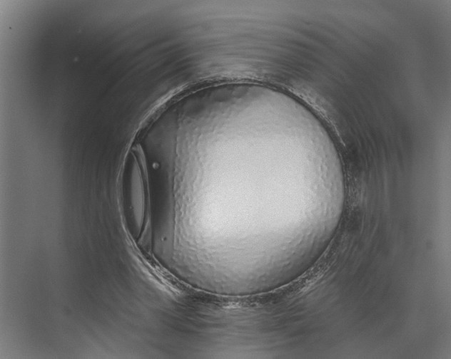 X0000073520390200608281738