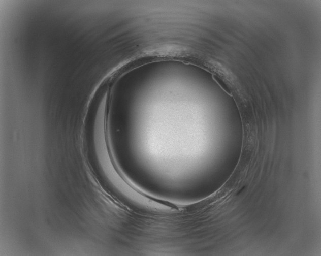 X0000073520392200608281738