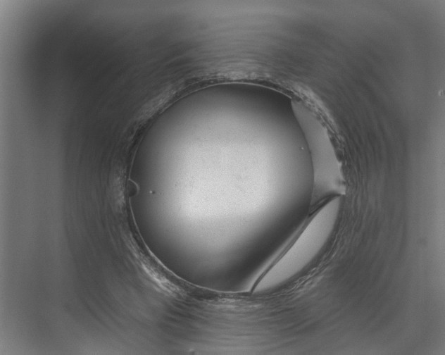 X0000073520393200608281738