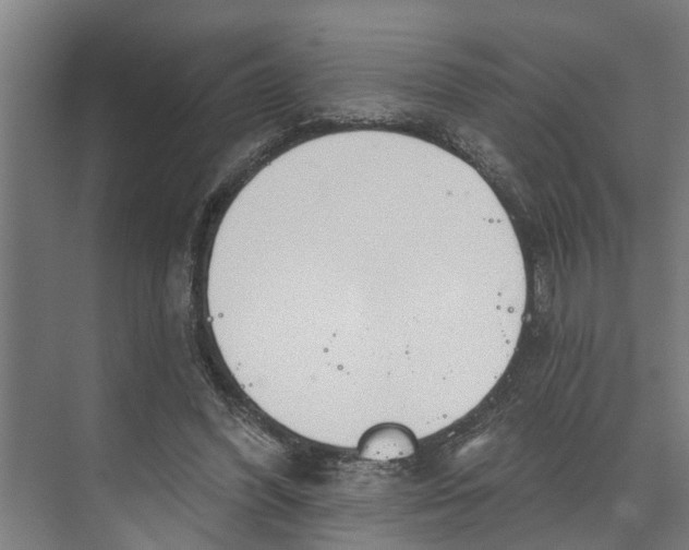 X0000073520396200608281738