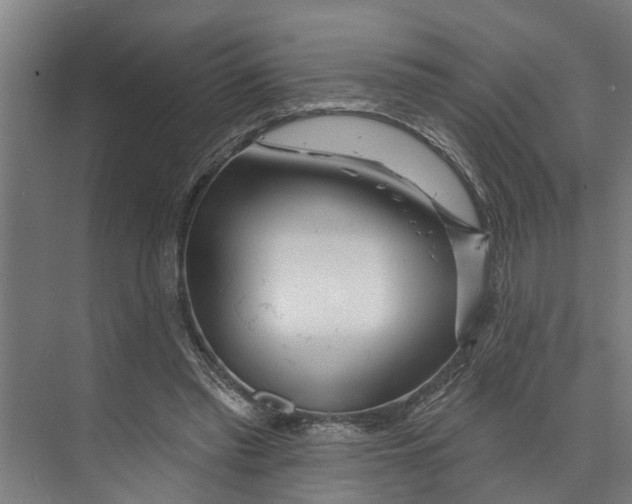 X0000073520397200608281738