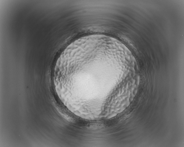 X0000073520398200608281738