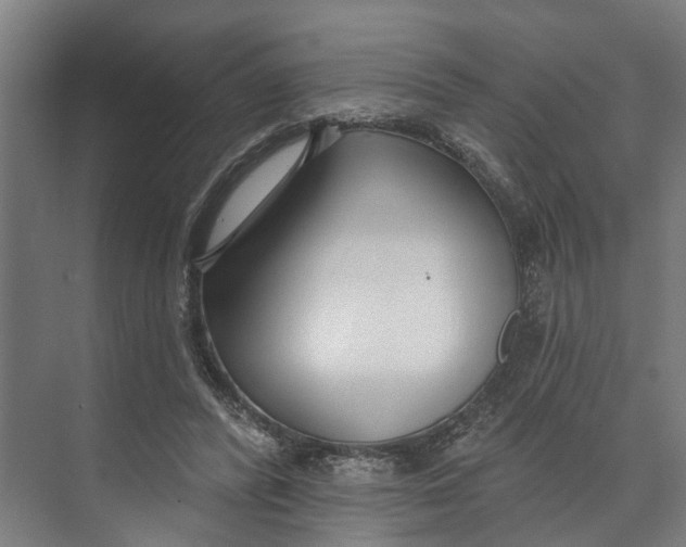 X0000073520400200608281738