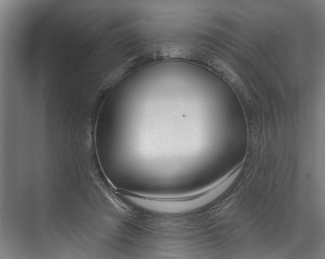 X0000073520401200608281738