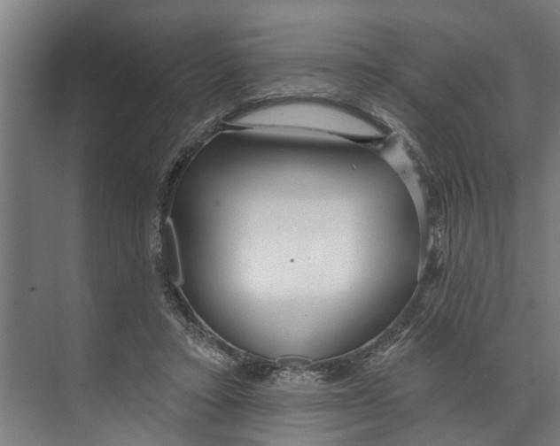 X0000073520403200608281738