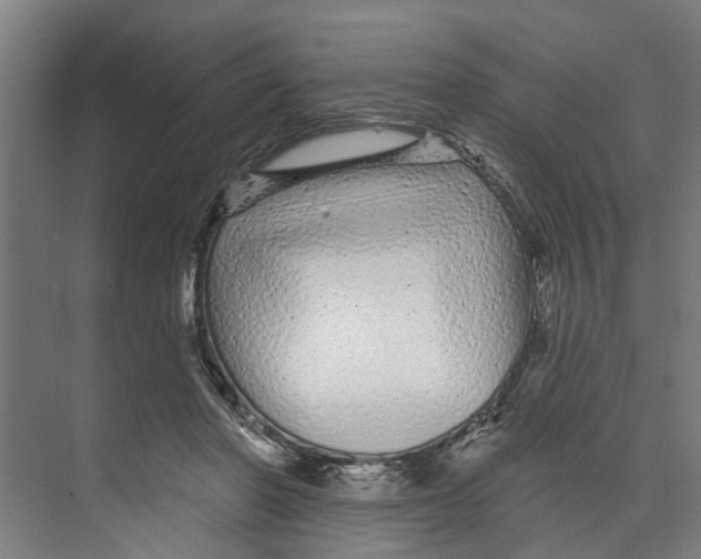 X0000073520406200608281738