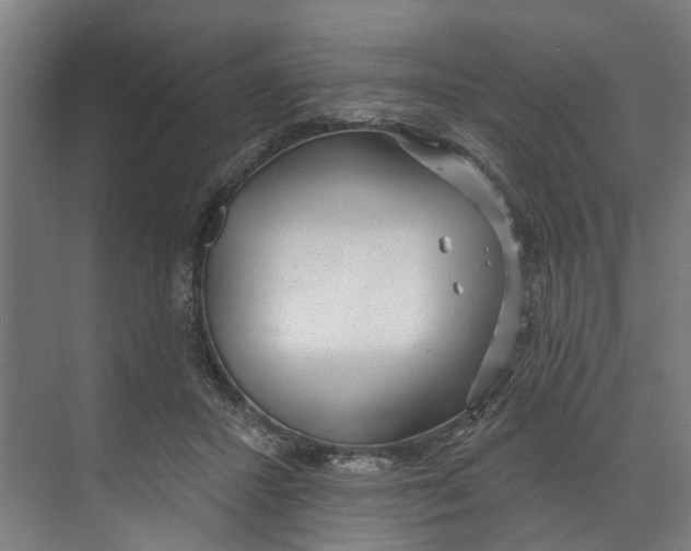 X0000073520407200608281738