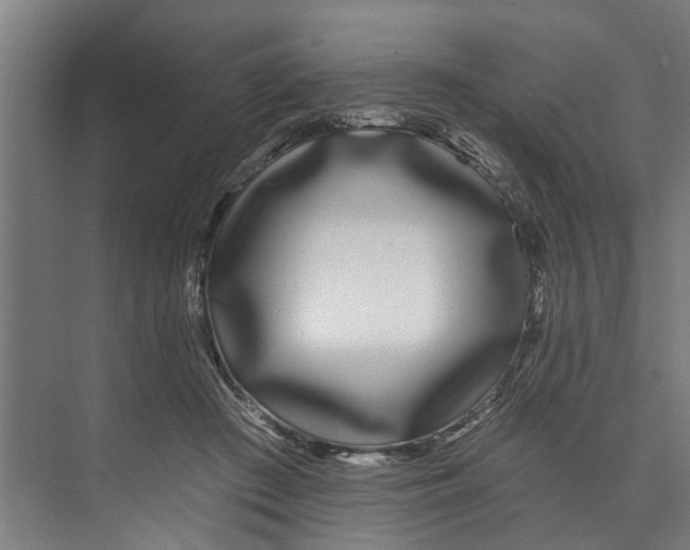 X0000073520409200608281738