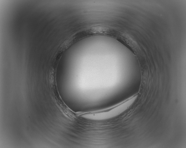 X0000073520413200608281738