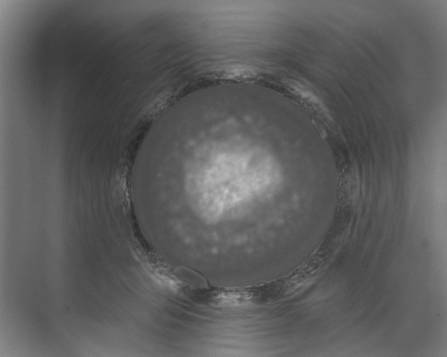 X0000073520415200608281738