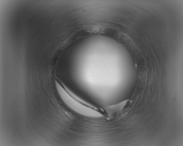 X0000073520416200608281738