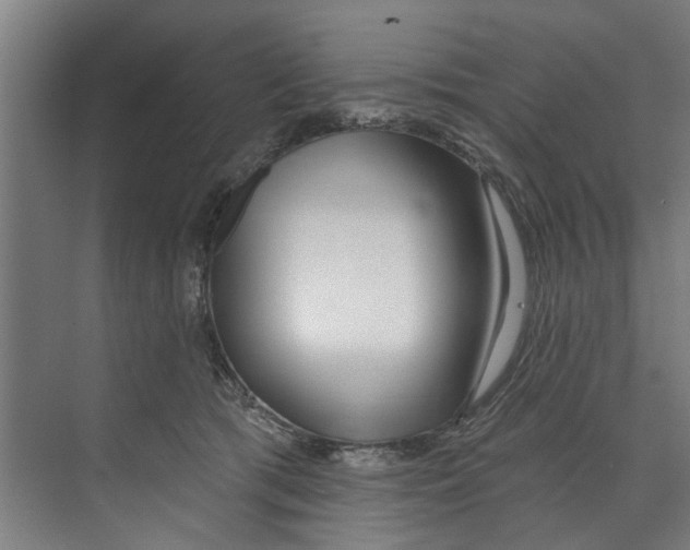 X0000073520417200608281738